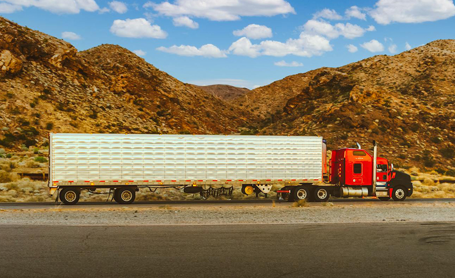 Choosing the right transport company in the UK for reliable freight and logistics services provided by Jazz Transport Ltd.